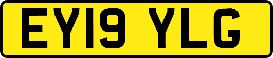 EY19YLG