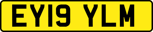 EY19YLM