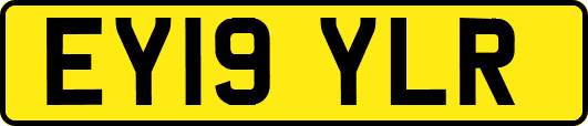 EY19YLR