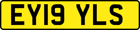 EY19YLS