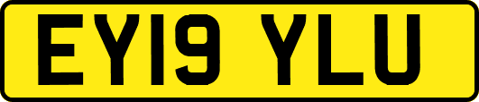 EY19YLU