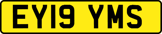 EY19YMS
