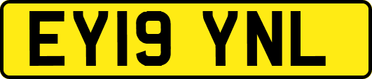 EY19YNL