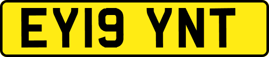 EY19YNT