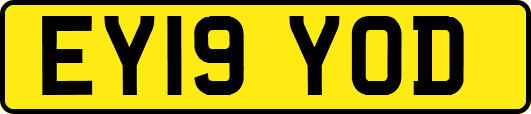 EY19YOD