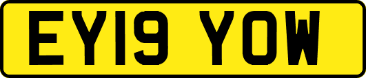 EY19YOW