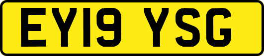 EY19YSG