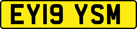 EY19YSM
