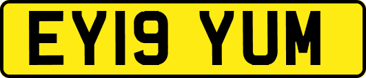 EY19YUM