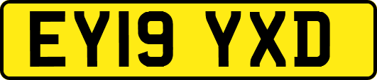 EY19YXD