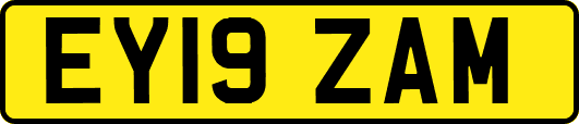 EY19ZAM