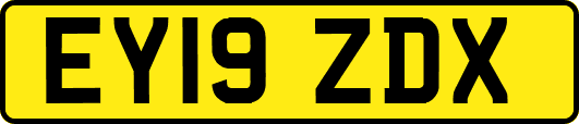 EY19ZDX
