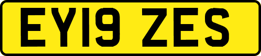 EY19ZES