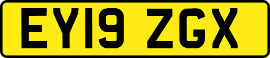 EY19ZGX