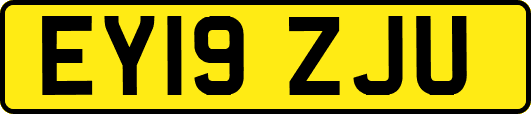 EY19ZJU