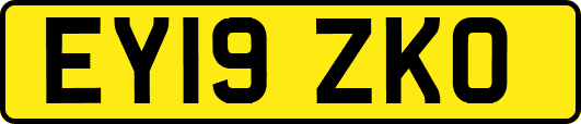 EY19ZKO