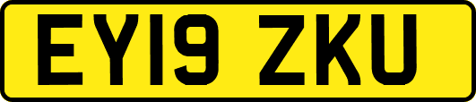 EY19ZKU