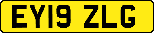 EY19ZLG