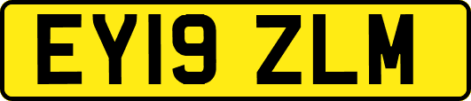 EY19ZLM