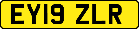 EY19ZLR