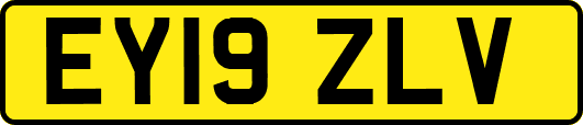 EY19ZLV