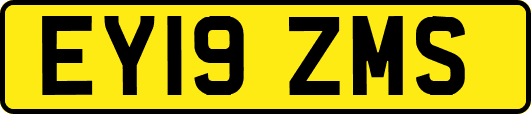 EY19ZMS