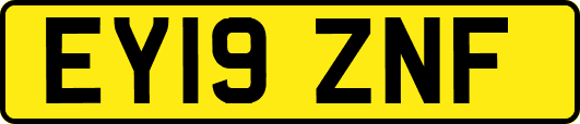 EY19ZNF