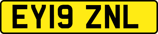 EY19ZNL
