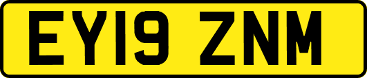 EY19ZNM