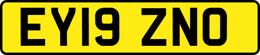 EY19ZNO