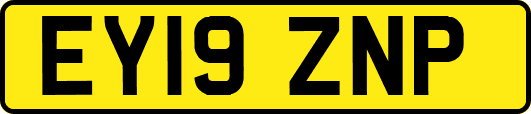 EY19ZNP