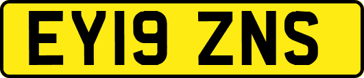 EY19ZNS