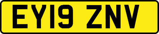 EY19ZNV
