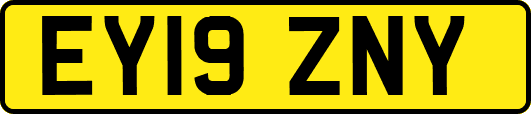 EY19ZNY