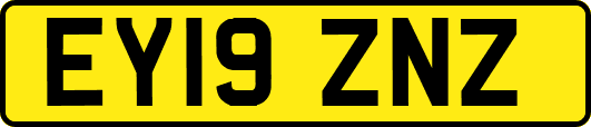 EY19ZNZ
