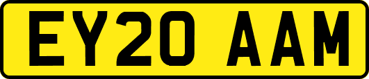 EY20AAM
