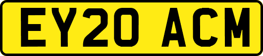 EY20ACM
