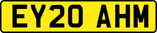 EY20AHM