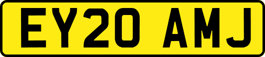 EY20AMJ