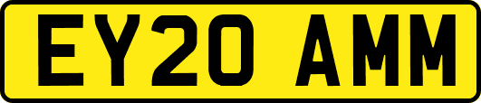 EY20AMM
