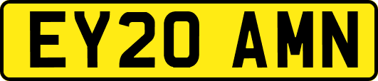 EY20AMN