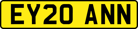 EY20ANN