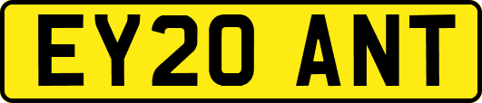 EY20ANT