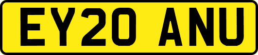 EY20ANU