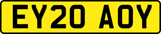 EY20AOY