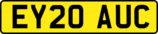 EY20AUC