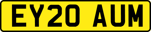 EY20AUM