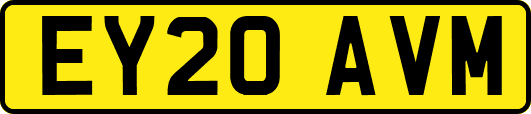 EY20AVM