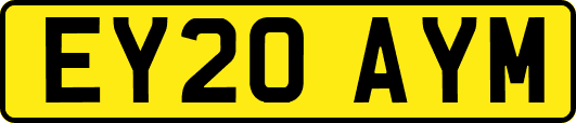 EY20AYM