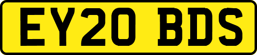 EY20BDS